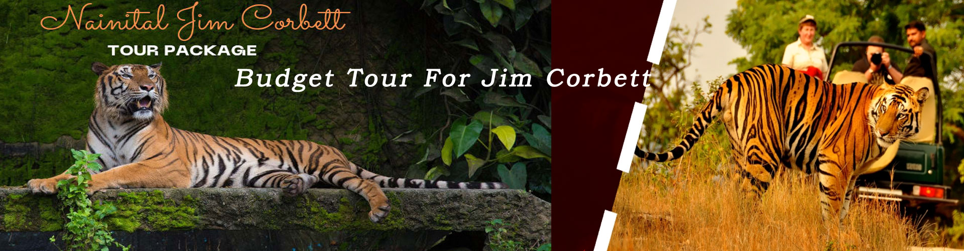Corbett Budget Tour Packages Jim Corbett National Park