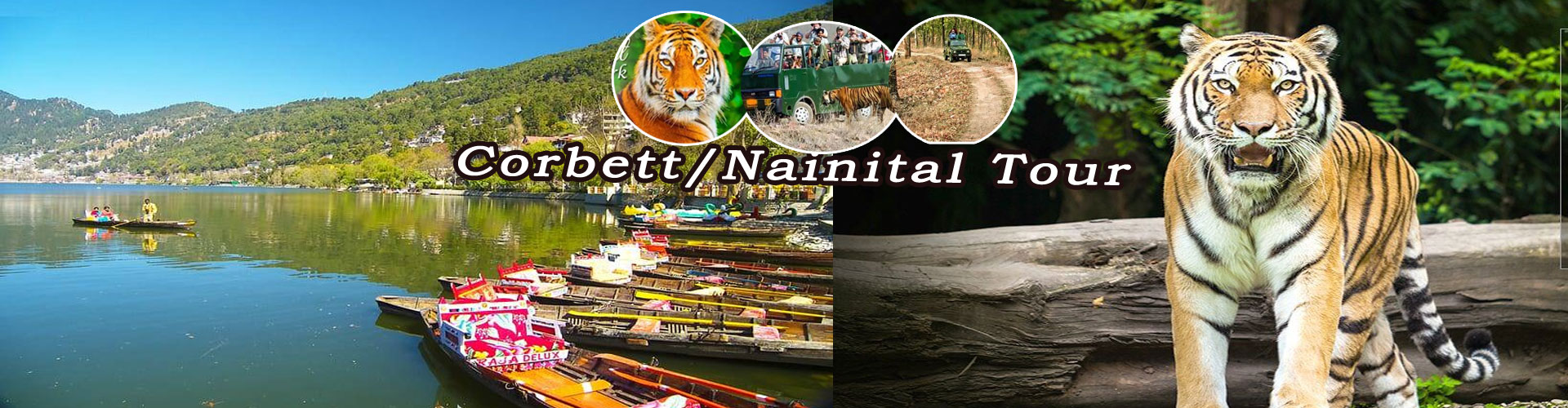 nainital and corbett tour packages